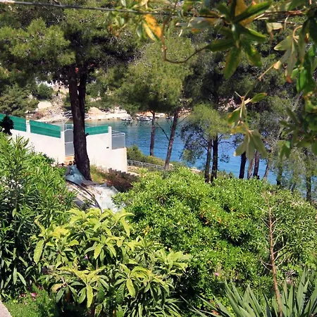 Apartments By The Sea Basina, Hvar - 542 Vrbanj Exterior photo