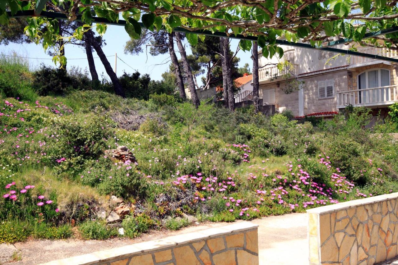 Apartament By The Sea Basina, Hvar - 542 *